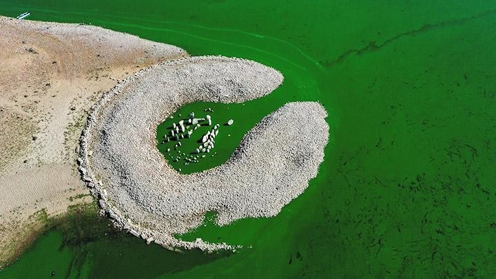 Vòng tròn đá The Dolmen of Guadelperal của Tây Ban Nha đã lộ ra khi mực nước sông hạ thấp. Ảnh: REUTERS