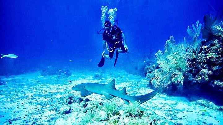 Lặn biển là hoạt động du lịch được yêu thích ở rạn san hô Belize. Ảnh: GETTY