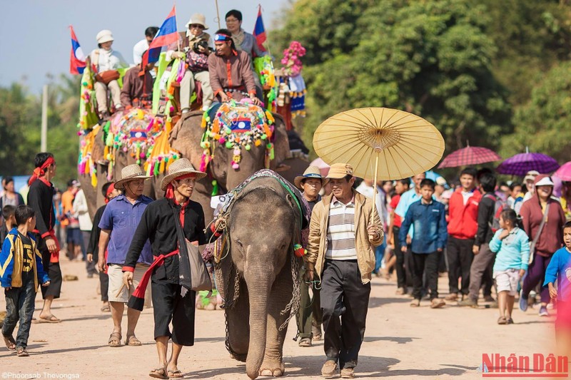 Độc đáo lễ hội voi ở Lào