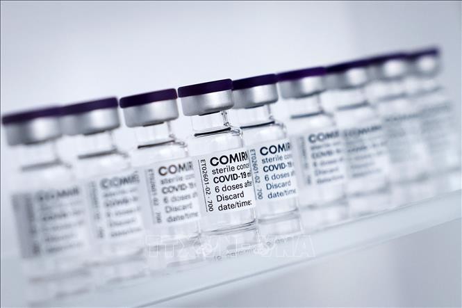 Vaccine phòng Covid-19 của hãng Pfizer/BioNTech. (Ảnh: AFP/TTXVN)