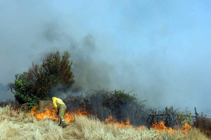 Hiện trường một vụ cháy rừng ở Tây Ban Nha. (Ảnh REUTERS)
