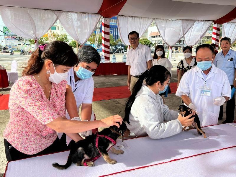 Người dân mang chó đến tiêm vaccine phòng ngừa bệnh dại tại thành phố Bến Tre.