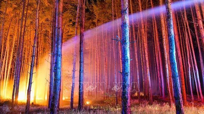 Hiện trường vụ cháy rừng ở Klausdorf, miền bắc nước Đức, ngày 24/8/2018. (Ảnh tư liệu: AFP/TTXVN)