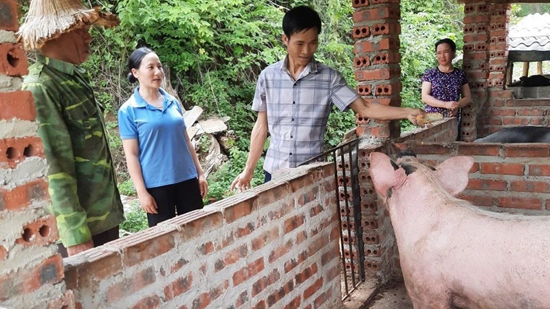 Anh Lò Văn Dũng (thứ hai từ phải sang) hướng dẫn người dân bản Mường Luân 2 cách chăm sóc đàn lợn.