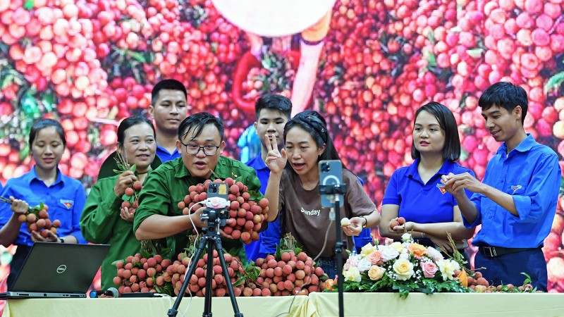Ðoàn viên, thanh niên Bắc Giang bán vải thiều trực tuyến. 