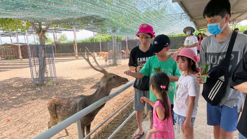 Khách du lịch tham quan trang trại Tiên Tiến Farm & Zoo ở Ninh Thuận. 