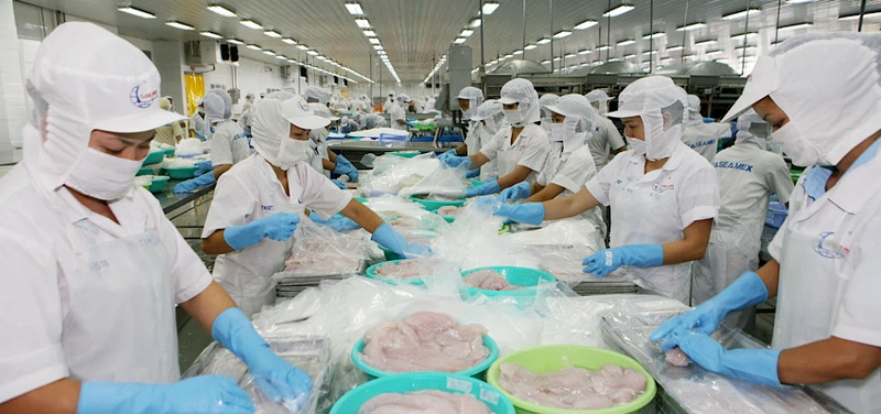 Các doanh nghiệp xuất khẩu của Việt Nam cần sớm thực hiện chuyển đổi xanh trong sản xuất nhằm đáp ứng EGD của EU.