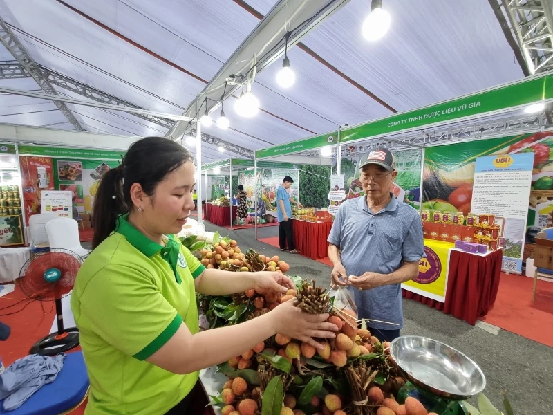 Người tiêu dùng tìm mua các loại trái cây đặc sản của các tỉnh, thành phố. 