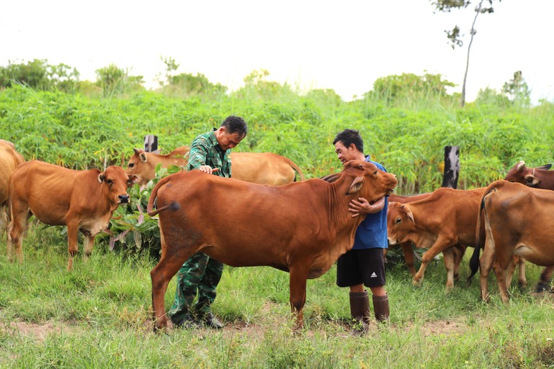 Nhiều hộ chăn nuôi ở Đắk Lắk đã chú trọng phòng, chống dịch bệnh cho đàn gia súc theo khuyến cáo của ngành nông nghiệp tỉnh.