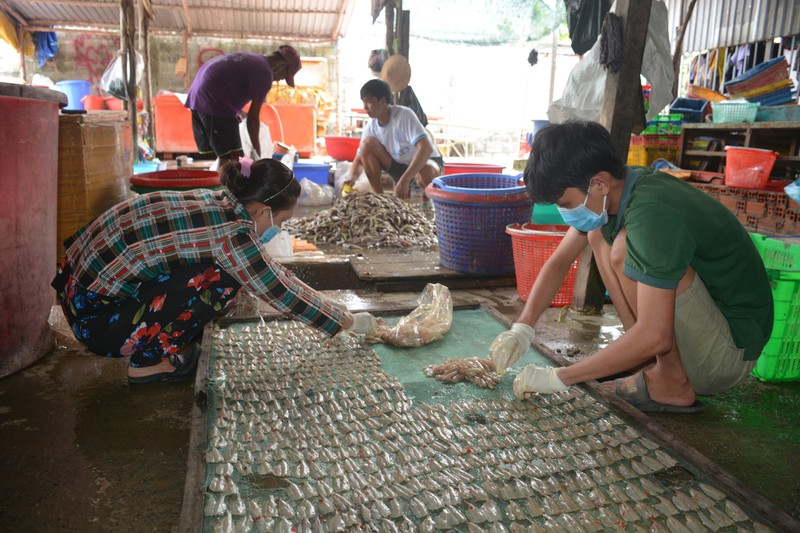Công nhân dân chế biến khô tại cơ sở cá khô Diễm Hào, khu phố Ba Hòn, thị trấn Kiên Lương, huyện Kiên Lương, tỉnh Kiên Giang có thu nhập 18 triệu đồng/tháng. 