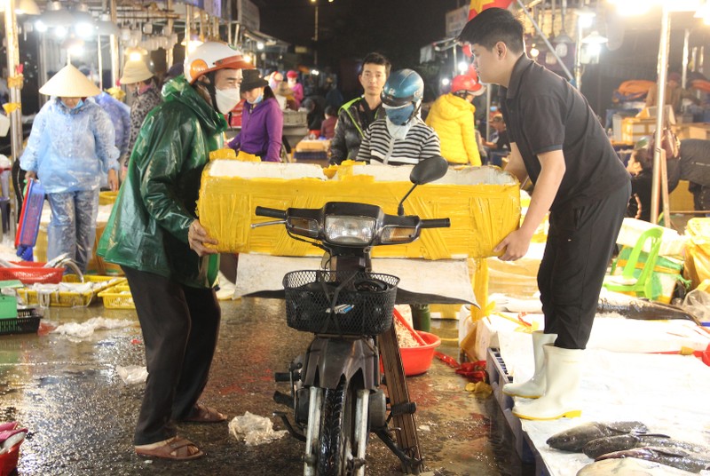 Chợ cá lớn nhất Đà Nẵng tất bật lúc rạng sáng.