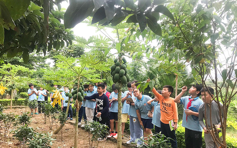 Học sinh Trường Nguyễn Bỉnh Khiêm (Hà Nội) khám phá thiên nhiên trong buổi sinh hoạt ngoại khóa.
