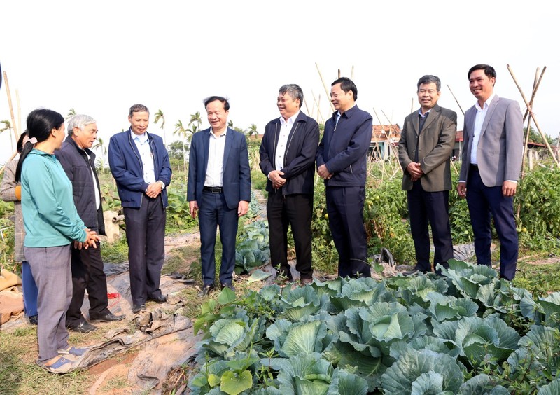 Cán bộ, đảng viên xã Thượng Kiệm, huyện Kim Sơn trao đổi kỹ thuật sản xuất rau an toàn theo hướng hữu cơ.