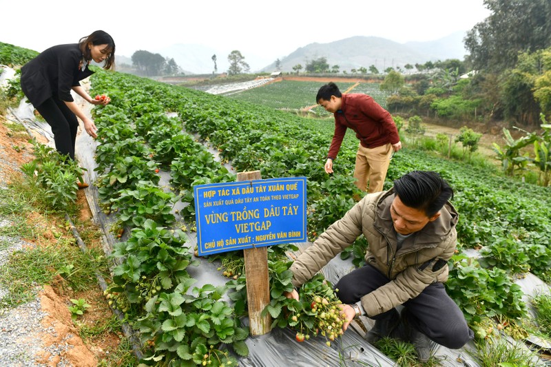 Mô hình điểm thôn thông minh trong xây dựng nông thôn mới