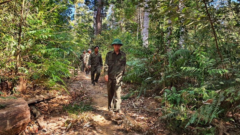 Công nhân Công ty trách nhiệm hữu hạn một thành viên Lâm nghiệp Đăk Tô tuần tra phòng, chống cháy rừng tại địa bàn mình quản lý.