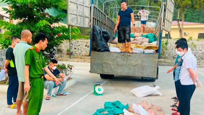 Lực lượng chức năng Lào Cai bắt giữ hơn 3 tấn thực phẩm "bẩn" nhập lậu. (Ảnh: THANH TUẤN)