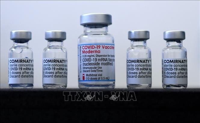 Vaccine ngừa Covid-19 của Pfizer/BioNTech và Moderna. Ảnh: AFP/TTXVN