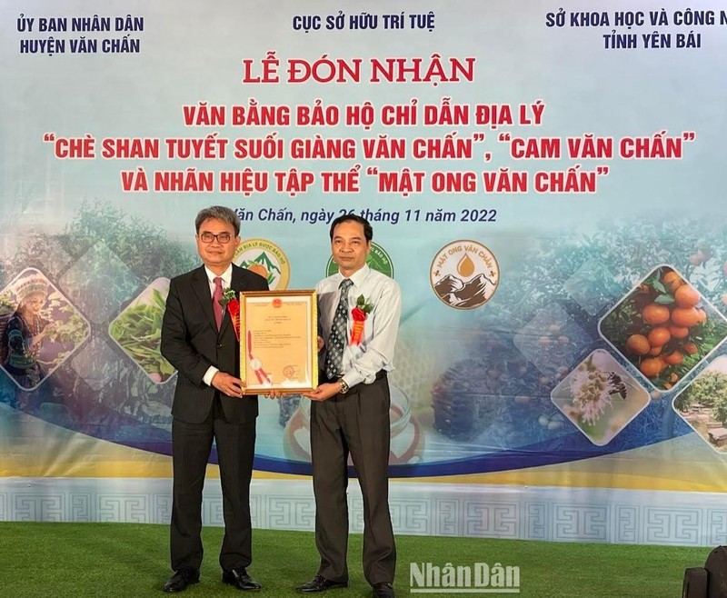 Cục Sở hữu trí tuệ trao giấy chứng nhận cho huyện Văn Chấn.