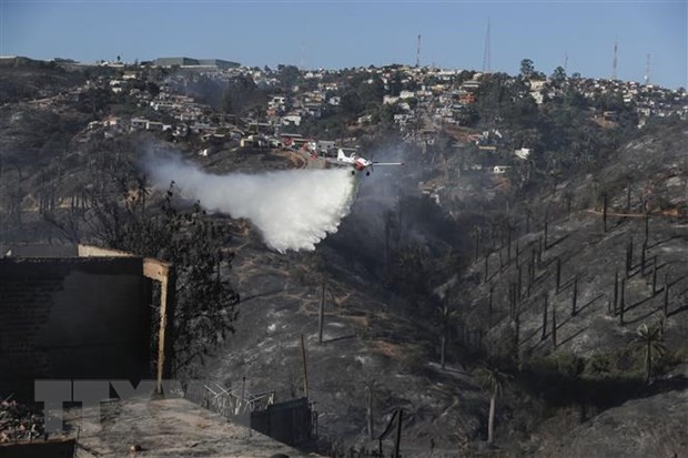 Trực thăng phun nước dập lửa cháy rừng tại Vina del Mar, thuộc vùng Valparaiso, Chile. (Ảnh: AFP/ TTXVN)