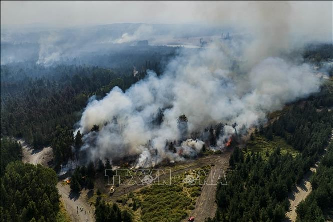 Khói bốc lên từ đám cháy rừng ở Cabrero, Chile ngày 7/2/2023. (Ảnh: AFP/TTXVN)