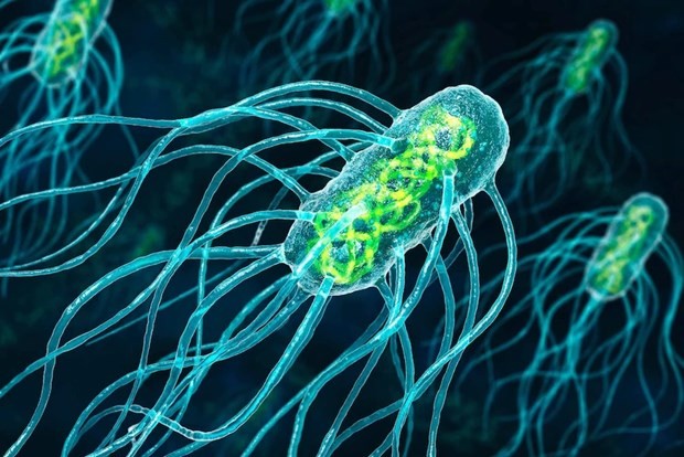 Siêu vi khuẩn trở nên nguy hiểm hơn do biến đổi khí hậu. (Nguồn: Getty Images)