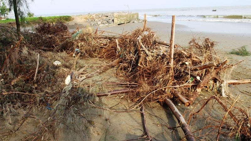 Sóng, nước biển xâm thực tàn phá công trình, cây trồng, hạ thấp cốt nền bờ biển ở xã Hoằng Phụ, huyện Hoằng Hóa.