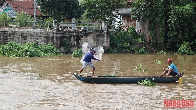 Chài cá trên sông Hậu.