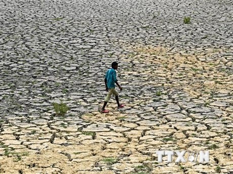 Lòng sông khô cạn do các đợt nắng nóng và hạn hán kéo dài tại New Delhi, Ấn Độ. (Ảnh: AFP/TTXVN)