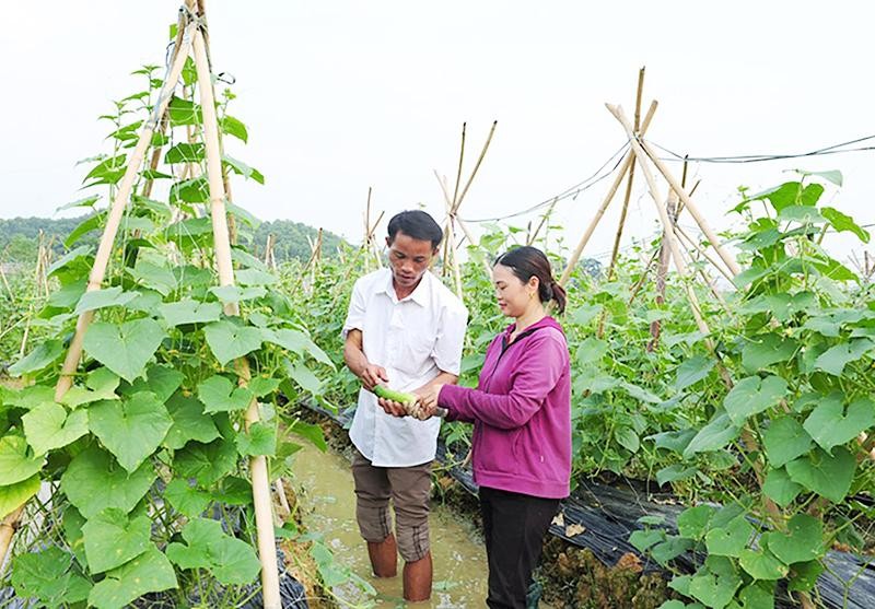 Tăng cường nhận thức và giải pháp về hoàn thiện mô hình tổng quát của hệ  thống chính trị Việt Nam