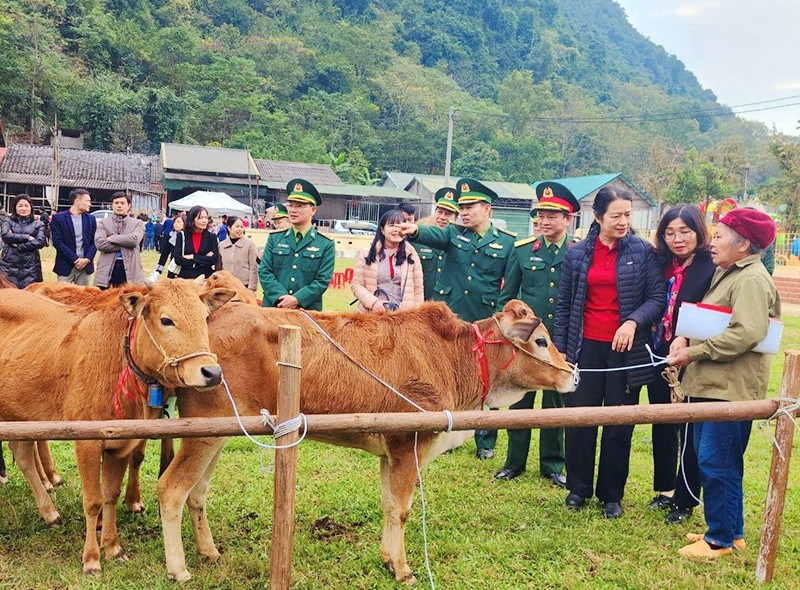 Agribank, Báo Quân đội nhân dân và Bộ đội Biên phòng trao bò tặng các hộ gia đình tại Cao Bằng.