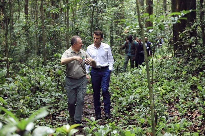 Tổng thống Pháp E.Macron thăm rừng ở Gabon. (Ảnh AP)