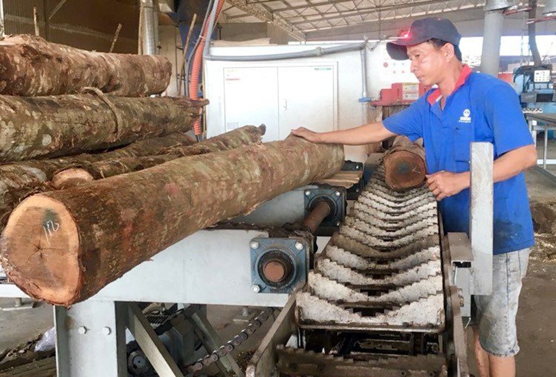 Chế biến gỗ xuất khẩu tại Công ty cổ phần TAVICO (Đồng Nai).