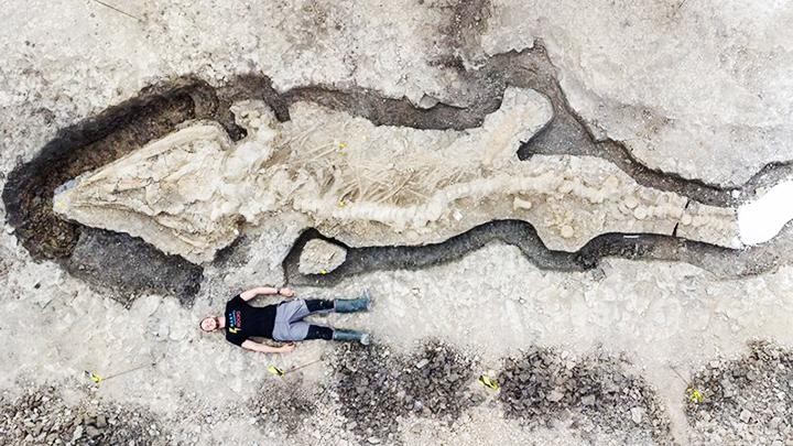 Hóa thạch “rồng biển” khổng lồ