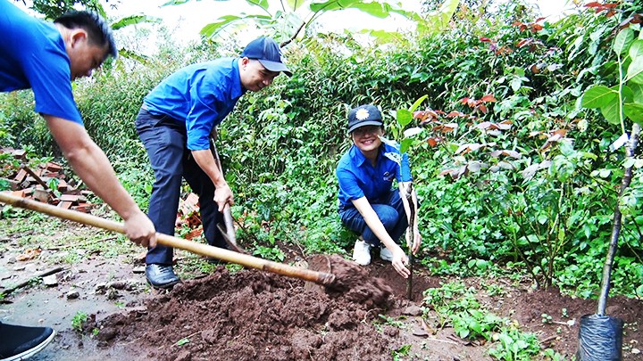 Thực hiện mô hình vườn mẫu Nhiều vướng mắc cần tháo gỡ  Báo Quảng Ninh  điện tử