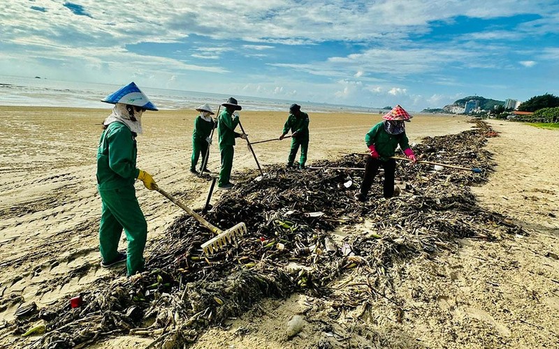 Công nhân Công ty VESCO thu gom rác thải đại dương tại Bãi Sau, thành phố Vũng Tàu.
