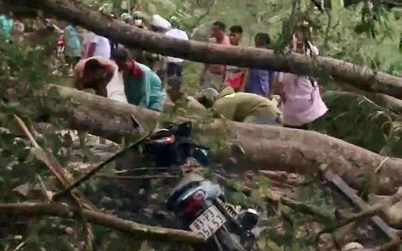 Lực lượng cứu hộ và người dân phải cưa phần thân cây ngã để đưa các nạn nhân ra ngoài.