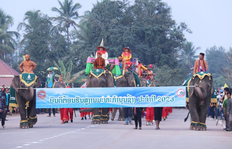Điểm nhấn của Lễ hội voi tỉnh Sayaboury năm 2023 là sự tham gia trình diễn của 75 cá thể voi, số lượng nhiều nhất từ trước tới nay. (Ảnh: Trịnh Dũng)
