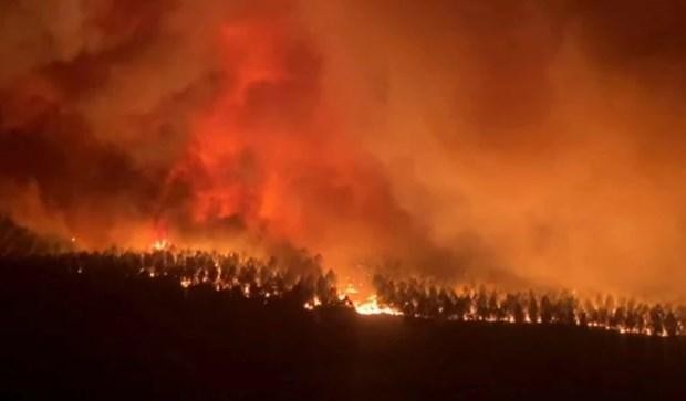 Những hình ảnh cháy rừng thiêu đốt miền tây nước Mỹ  Tuổi Trẻ Online