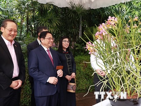 Thủ tướng Phạm Minh Chính và Phu nhân gắn biển tên cho cây hoa lan mang tên Phạm Lê Trân Chính.