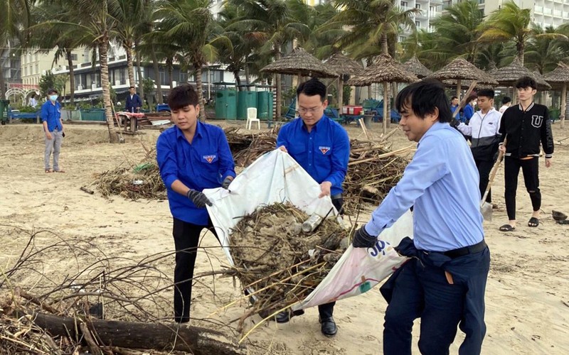 Thành đoàn Đà Nẵng phối hợp Sở Tài nguyên và Môi trường thành phố dọn vệ sinh sau mưa lũ tại bãi biển dọc đường Võ Nguyên Giáp. (Ảnh ĐOÀN MINH) 