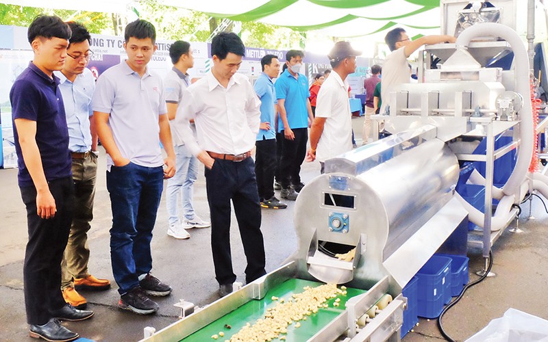 Trình diễn công nghệ chế biến hạt điều ở Bình Phước.