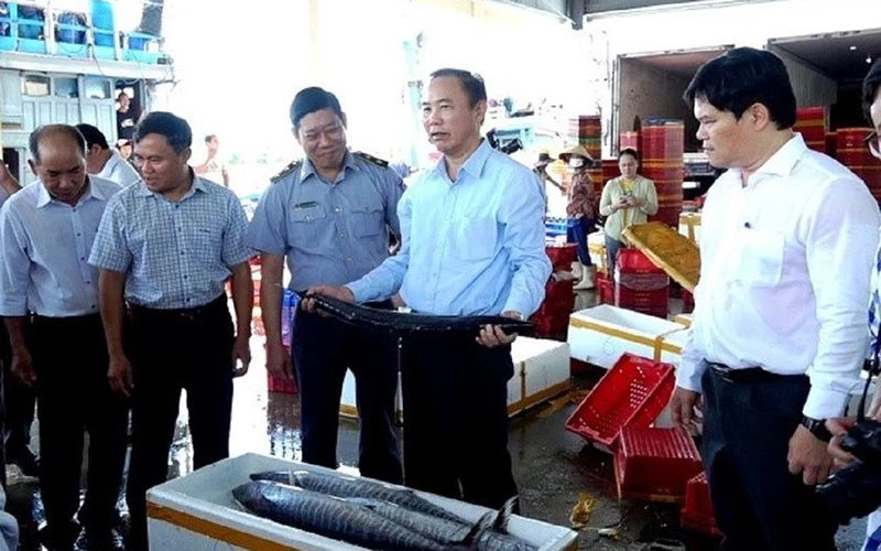 Đoàn công tác Bộ Nông nghiệp và Phát triển nông thôn kiểm tra chống khai thác IUU tại cảng cá Tịnh Hòa, Quảng Ngãi.