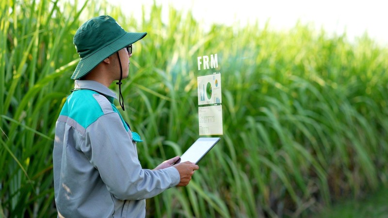 Ứng dụng công nghệ canh tác số thông qua nền tảng quản trị hoạt động nông nghiệp FRM (Farmer Relationship Management).