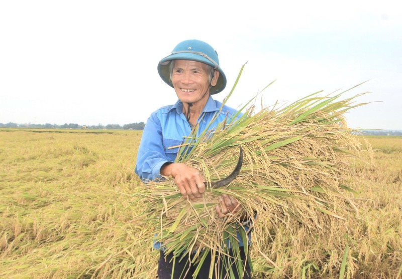 Niềm vui được mùa lúa mới. (Ảnh: Thu Hương)