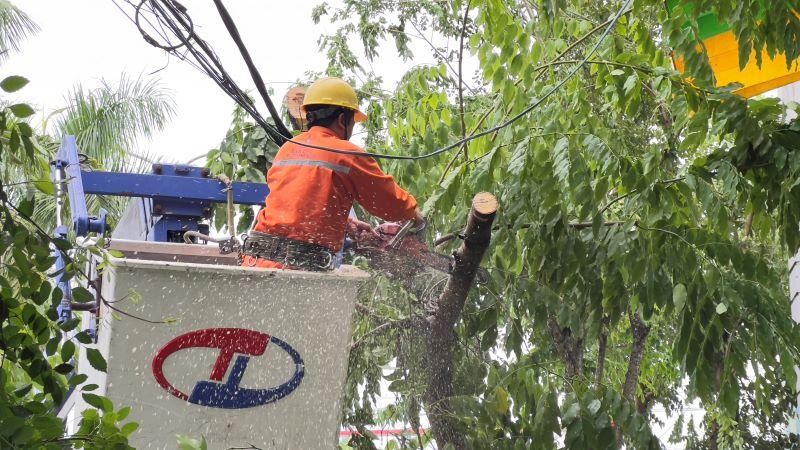 Công ty Điện lực Quảng Ngãi (thuộc Tổng công ty Điện lực miền trung-EVNCPC) đang phối hợp với các đơn vị, lực lượng chức năng khắc phục hậu quả bão số 4, nỗ lực sớm khôi phục cấp điện trở lại cho các khách hàng bị mất điện do bão. 