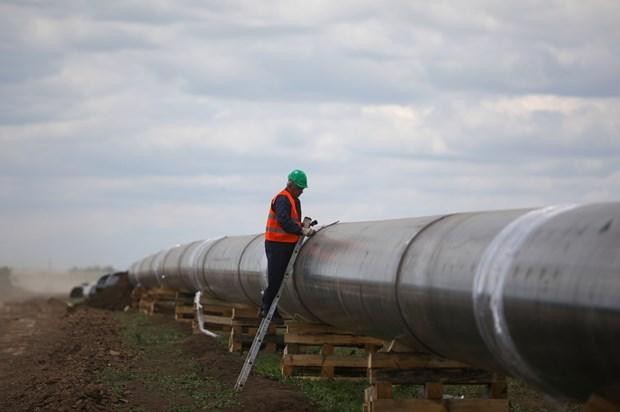 Công nhân bảo dưỡng đường ống TurkStream. (Nguồn: Reuters)