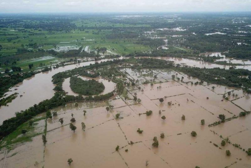 Nhiều khu ruộng ở tỉnh Nakhon Phanom (Thái Lan) chìm trong nước. 