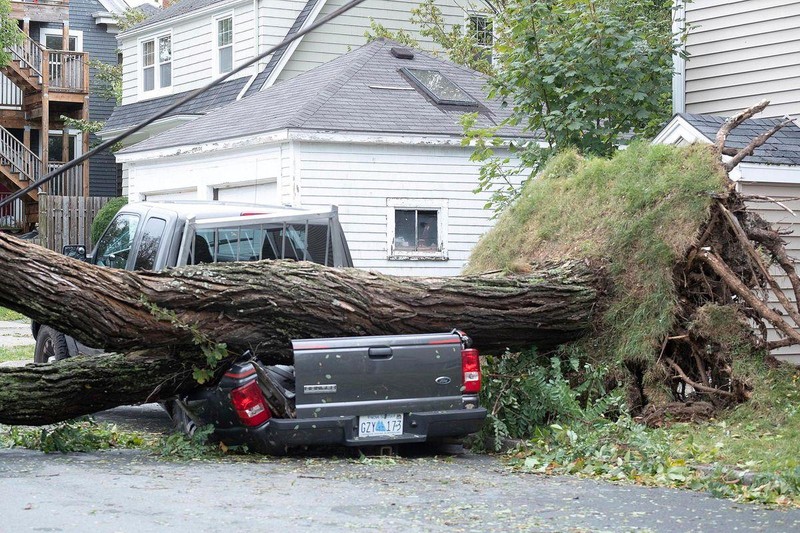 Bão Fiona tràn vào miền đông Canada ngày 24/9 vừa qua, gây gió mạnh, mưa lớn, sóng to, làm đổ cây, dẫn đến mất điện trên diện rộng. (Ảnh: Reuters)