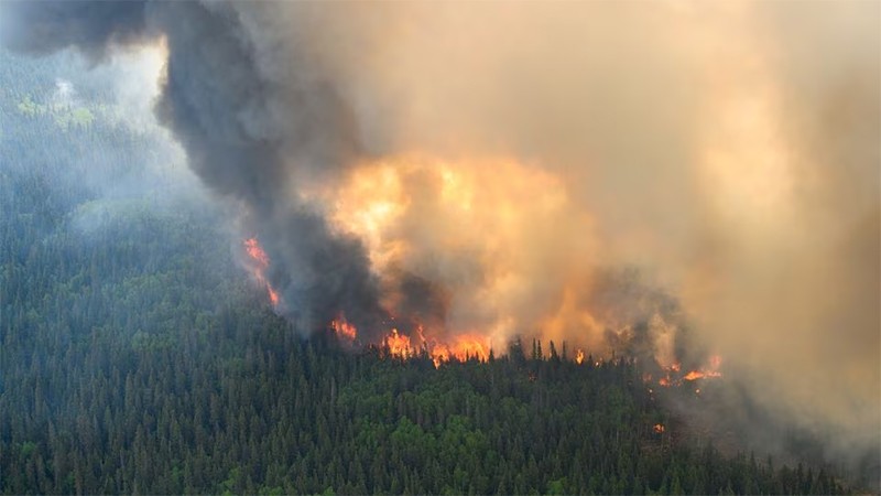 Cháy rừng gần khu vực Mistissini, thành phố Quebec, Canada, ngày 12/6/2023. (Ảnh: Reuters)