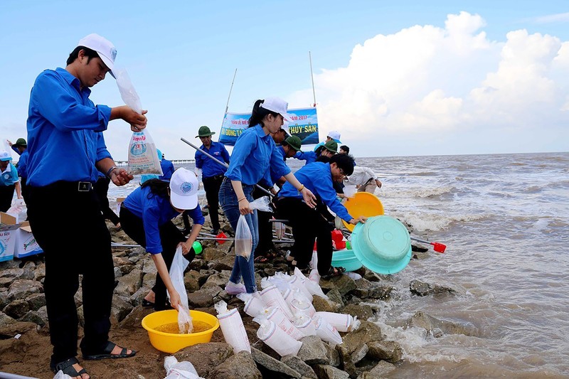 Thanh niên trên địa bàn tỉnh Cà Mau tích cực tham gia hoạt động tái tạo nguồn lợi thủy sản. Ảnh: Kim Há